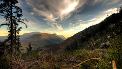 Top forest valley The from constantia cecelia