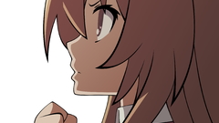 Toradora Anime aisaka taiga