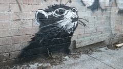Toronto banksy