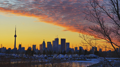 Toronto cityscapes