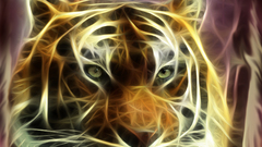 Totally was just wondering