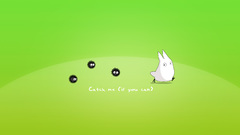 Totoro Anime