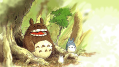 Totoro Manga Anime