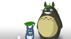 Totoro simple background Anime