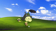 Totoro studio ghibli ok