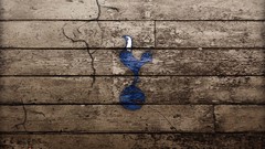 Tottenham hotspur
