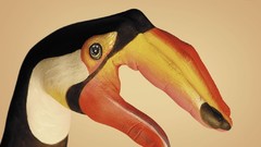 Toucans World Wildlife Fund