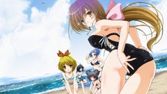 Touhou animal ears Hijiri