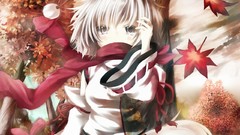 Touhou animal ears inubashiri