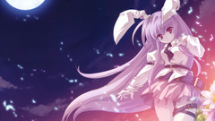 Touhou animal ears reisen