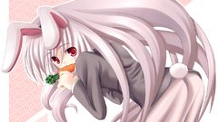 Touhou animal ears reisen