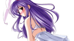 Touhou animal ears reisen