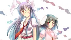 Touhou animal ears reisen