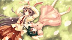 Touhou animal ears reisen