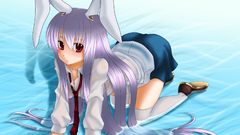 Touhou animal ears reisen