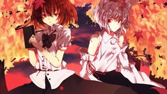 Touhou animal ears shameimaru