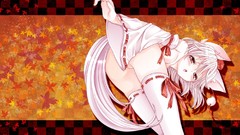 Touhou animal ears thigh