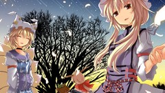 Touhou animal ears yakumo