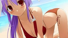 Touhou bikini bunny girls