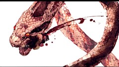 Touhou blood Animals fight