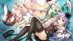 Touhou bunny girls animal