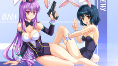 Touhou bunny girls animal