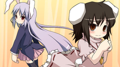 Touhou bunny girls animal
