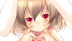 Touhou bunny girls animal