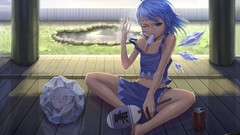 Touhou cirno video games