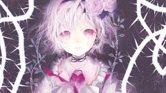 Touhou Flowers pink Ribbons