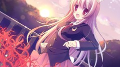 Touhou Flowers skirts long