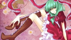 Touhou kagiyama hina