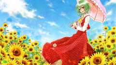 Touhou kazami yuuka