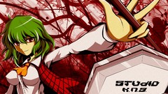 Touhou kazami yuuka
