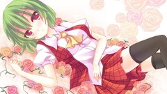 Touhou kazami yuuka