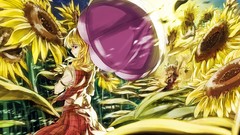 Touhou kazami yuuka Medicine Melancholy