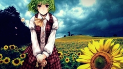 Touhou kazami yuuka Sunflowers