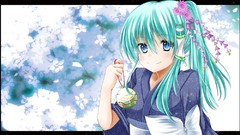 Touhou kochiya sanae Japanese