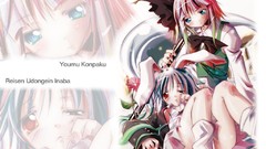 Touhou konpaku youmu animal