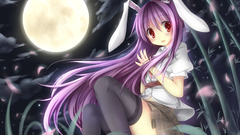 Touhou long hair bunny