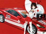 Touhou miko hakurei reimu