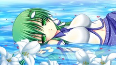 Touhou miko kochiya sanae