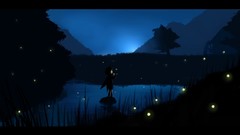 Touhou night firefly scenic
