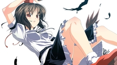 Touhou panties Birds skirts