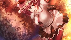 Touhou shameimaru aya video games tengu