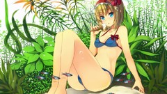 Touhou swimsuits