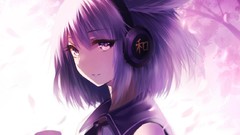 Touhou toyosatomimi no miko