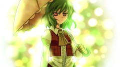 Touhou Umbrellas kazami yuuka