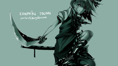 Touhou weapons konpaku youmu