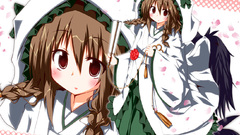 Touhou wings Anime reiuji